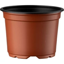 Terracotta Terracotta