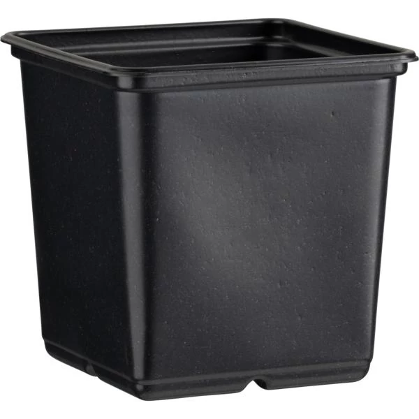 Desch Plantpak palántanevelő cserép 11x11x12 cm, fekete magvetéshez, palántaneveléshez