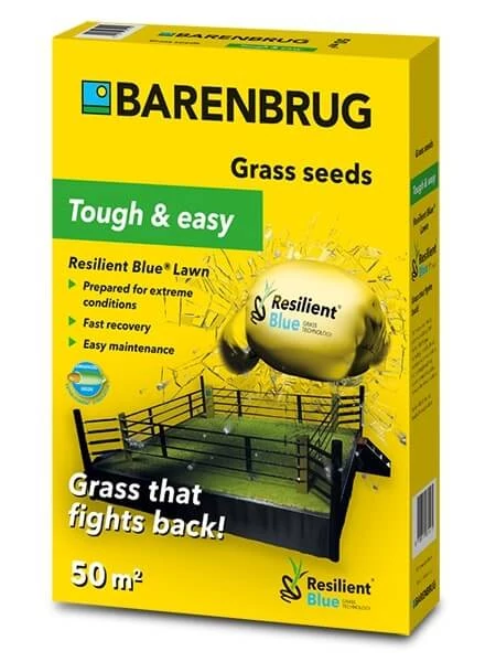 Barenbrug Resilient Blue Lawn, az ellenálló fűmag 1 kg