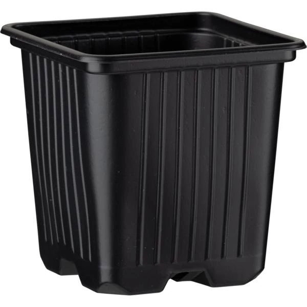 Desch Plantpak palántanevelő cserép 8x8x8 cm