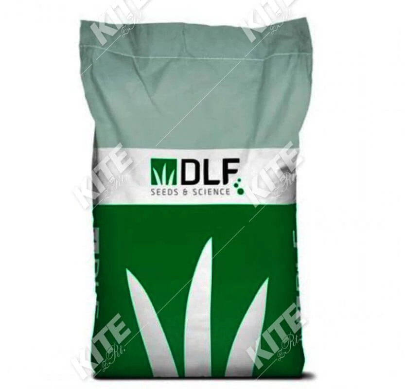 DLF Sport fűmag 20 kg
