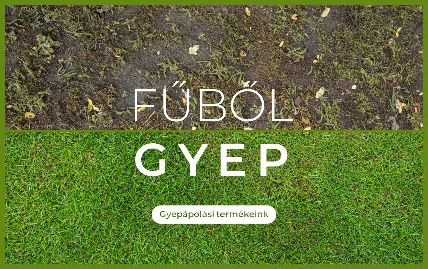 fubol gyep